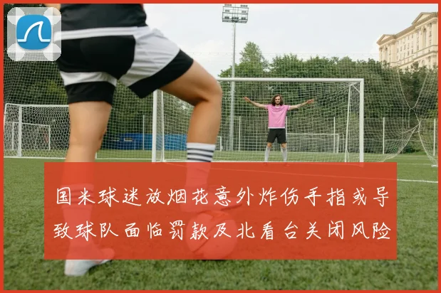 国米球迷放烟花意外炸伤手指或导致球队面临罚款及北看台关闭风险