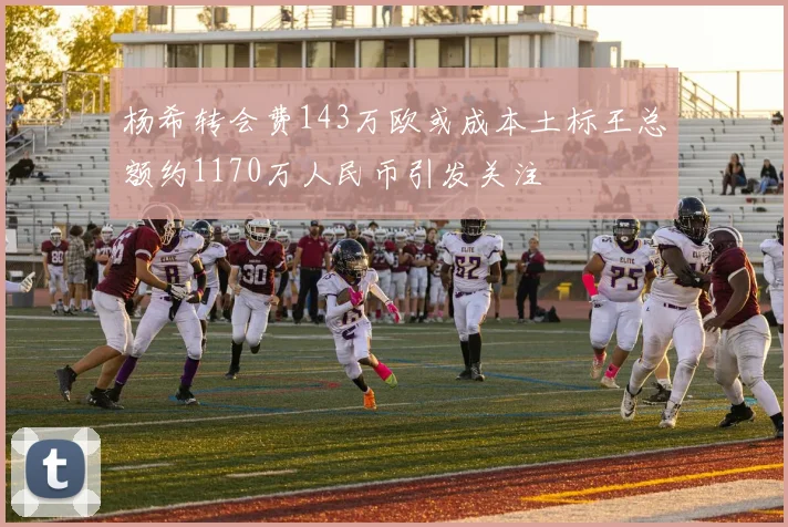 杨希转会费143万欧或成本土标王总额约1170万人民币引发关注